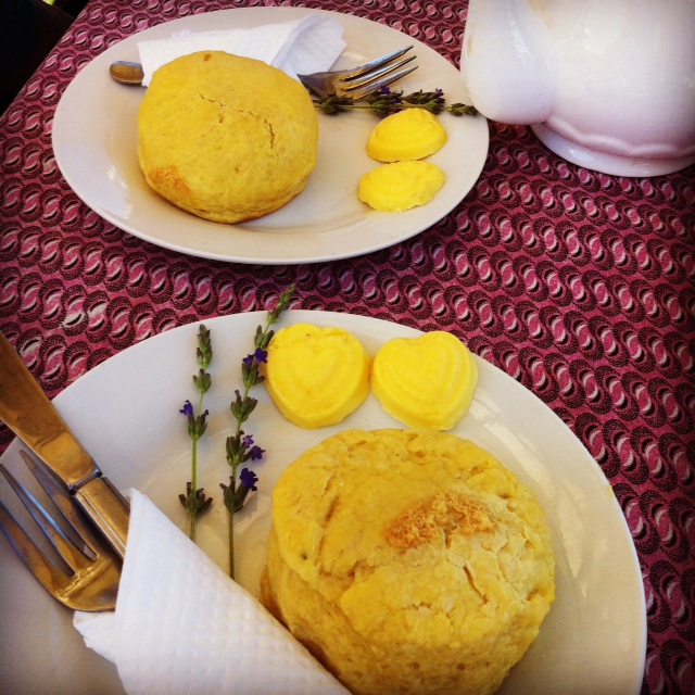 Scones with hand-churned butter in the middle of totally nowhere. The sign read 'Angora Rabbit Farm' but we only found hens and a cow.