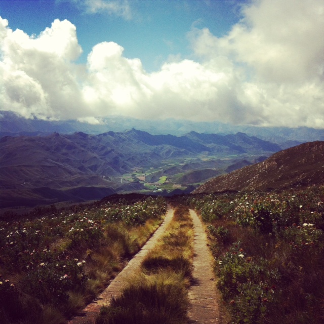 Surely one of the prettiest places in the world, the Koo Valley outside Montagu.