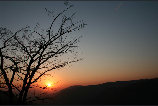 Screen Shot 2020-03-18 at 1.34.44 PM.png